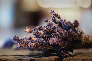Secret Garden Gin - Lavender and Echinacea